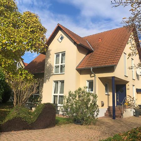 Ferienwohnung Suedpfalz Mit Fernblick Bochingen エクステリア 写真