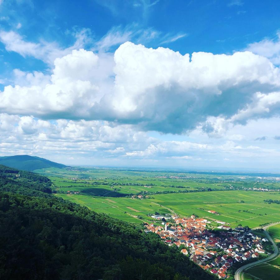 Ferienwohnung Suedpfalz Mit Fernblick Bochingen エクステリア 写真