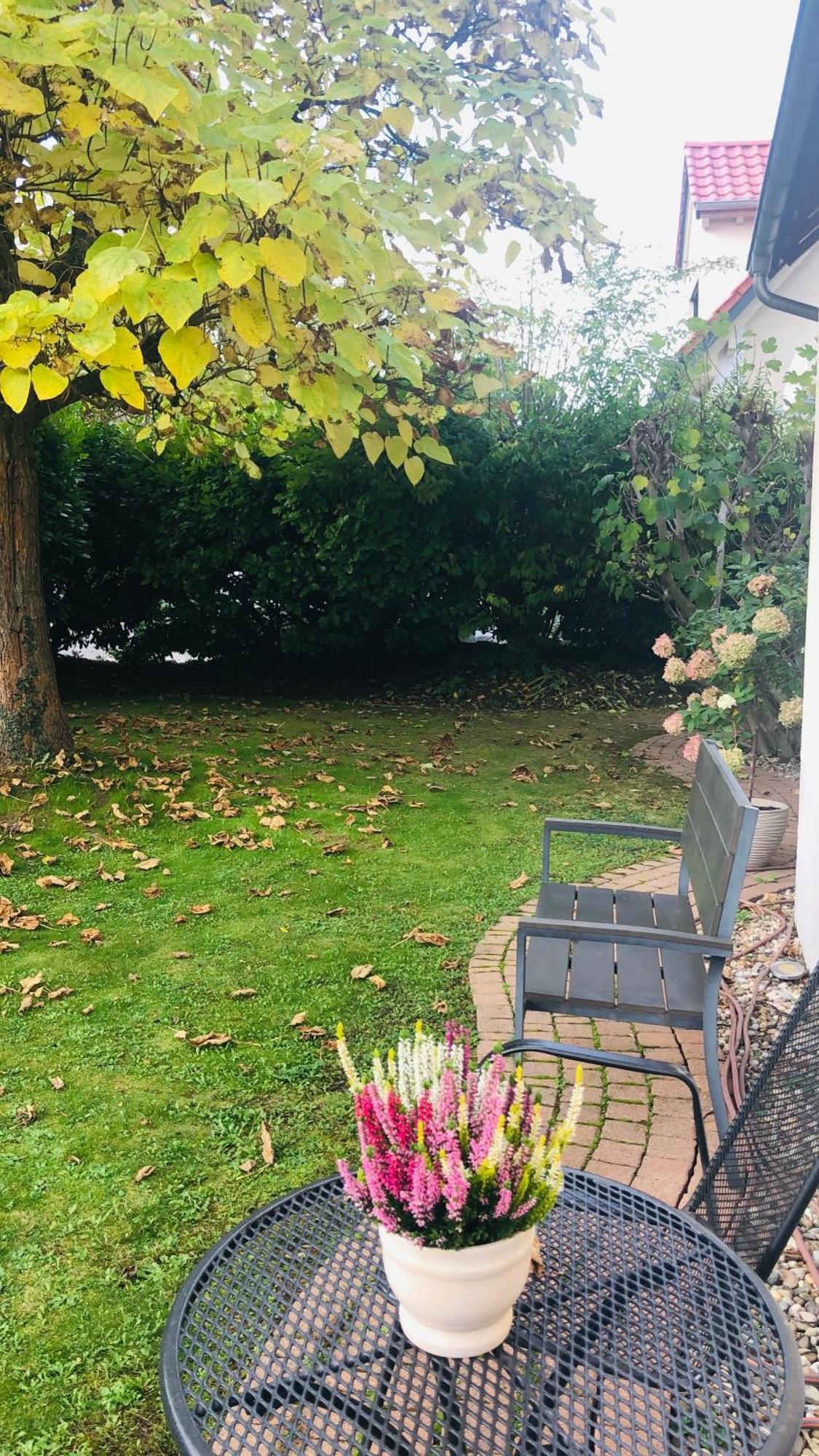 Ferienwohnung Suedpfalz Mit Fernblick Bochingen エクステリア 写真